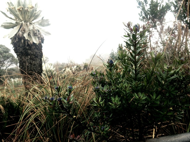 IMG_20140727_211506.jpg image