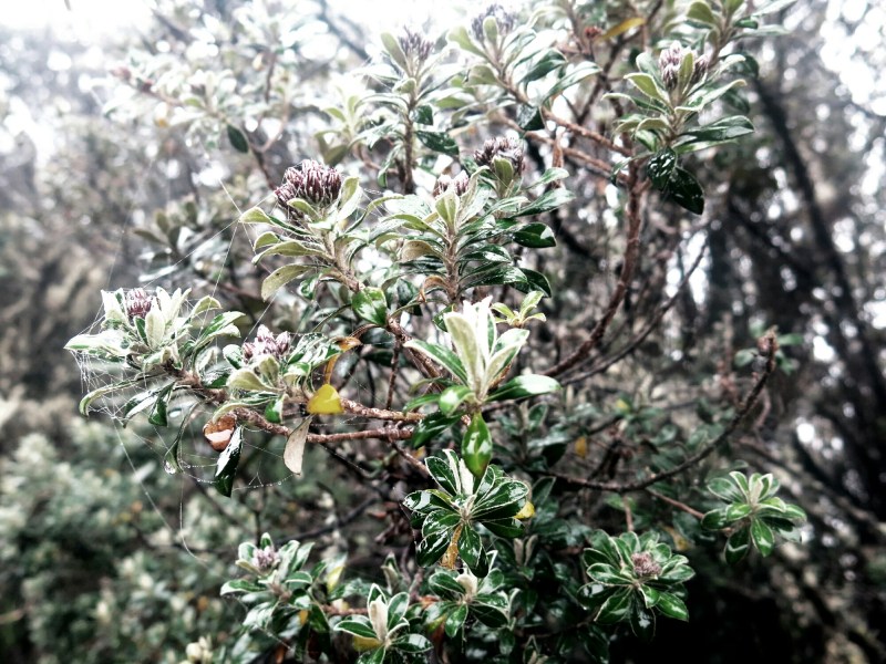 IMG_20140727_211542.jpg image